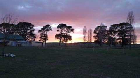 Braidwood Showground - Caravans And Camping - Coogee Beach Accommodation 0