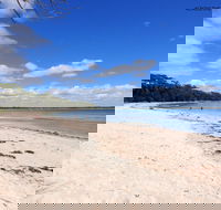 Captain Nemos Jervis Bay - Coogee Beach Accommodation