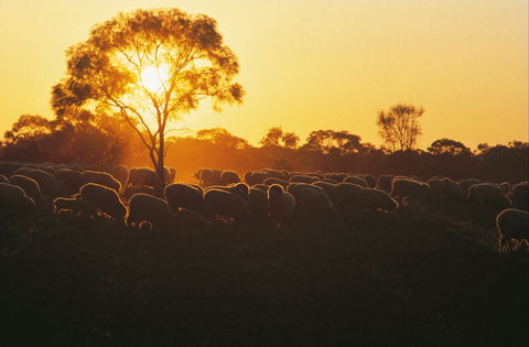 Clandulla Cottages & Farmstay - Coogee Beach Accommodation 0