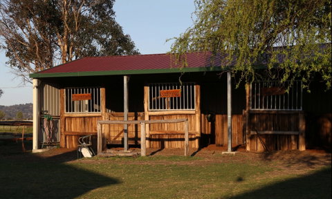 Deepwater Inn - Coogee Beach Accommodation 2
