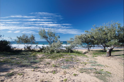 Deepwater National Park Camping - Coogee Beach Accommodation 0