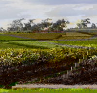 Estate Tuscany - Coogee Beach Accommodation