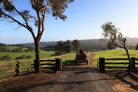 Harvey Hills Farm Stay Chalets - Coogee Beach Accommodation 1