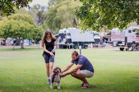 Kirra Beach Tourist Park - Coogee Beach Accommodation 0