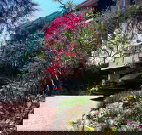 Linley House Bed and Breakfast - Coogee Beach Accommodation