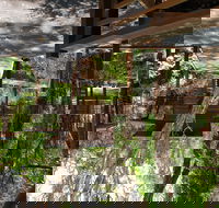 Melaleuca Surfside Backpackers - Coogee Beach Accommodation