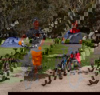 Ngarigo campground - Coogee Beach Accommodation