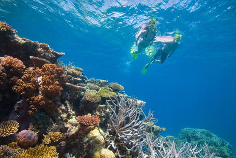 NRMA Cairns Holiday Park - Coogee Beach Accommodation 0