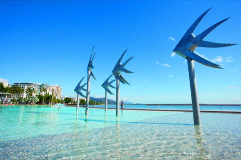 NRMA Cairns Holiday Park - Coogee Beach Accommodation 1