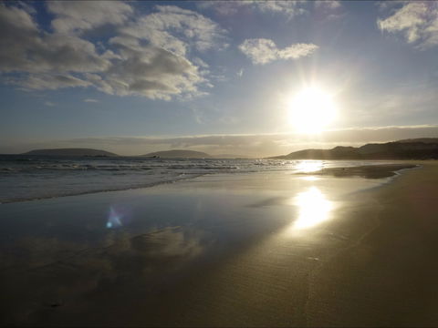 Palana Retreat - Coogee Beach Accommodation 1
