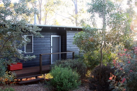 Redrock On Booie - Coogee Beach Accommodation 2