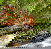 The Mouses House - Rainforest Retreat - Coogee Beach Accommodation