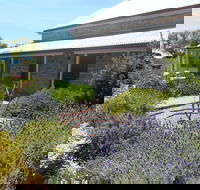 Ti Tree Cottage - Coogee Beach Accommodation