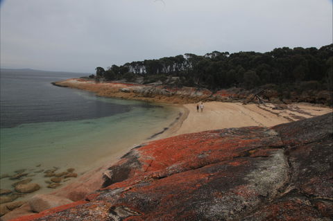 Trousers Point Camping Ground - Coogee Beach Accommodation 1