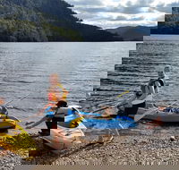 Tullah TimeOut - Coogee Beach Accommodation