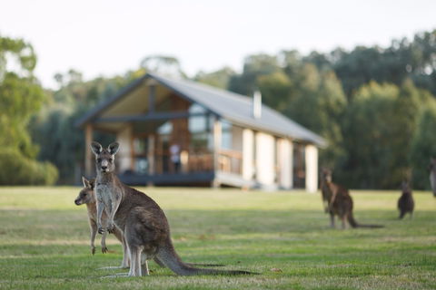 Yering Gorge Cottages - Coogee Beach Accommodation 0