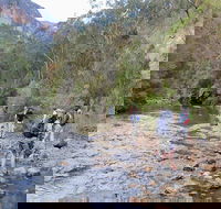 Acacia Flat campground - Coogee Beach Accommodation