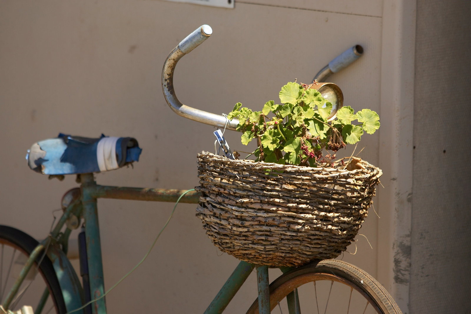 Hanwood NSW Coogee Beach Accommodation