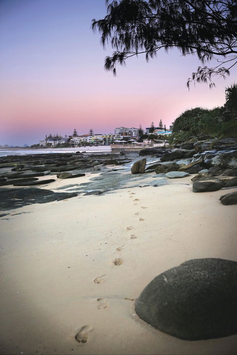 Cheltenham Apartments - Coogee Beach Accommodation 0
