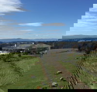 Cheeky Fox Retreat - Coogee Beach Accommodation