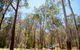 Coolah Tops National Park Camping - thumb 0
