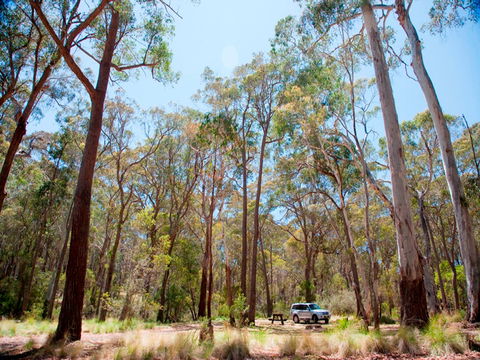 Coolah Tops National Park Camping - Coogee Beach Accommodation 0