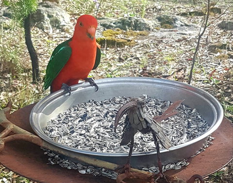 Fieri Natura In Kangaroo Valley - Coogee Beach Accommodation 2