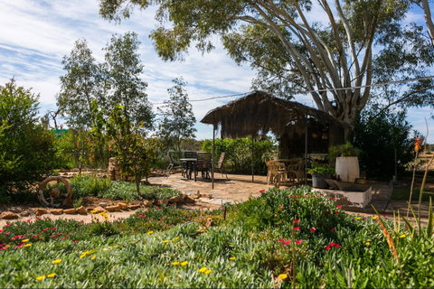 Hale River Homestead At Old Ambalindum - Coogee Beach Accommodation 2