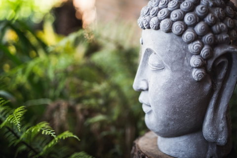 Happy Buddha Retreats - Coogee Beach Accommodation 0
