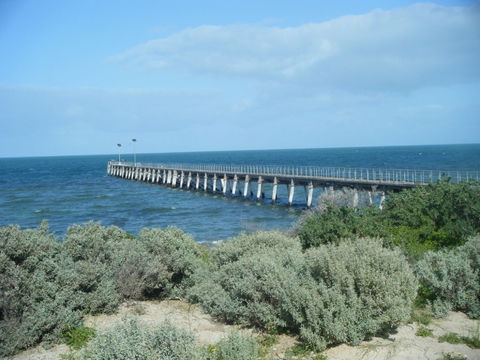 Haslam Campground - Coogee Beach Accommodation 0