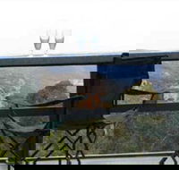 Hatters Hideout Lyres Loft - Coogee Beach Accommodation