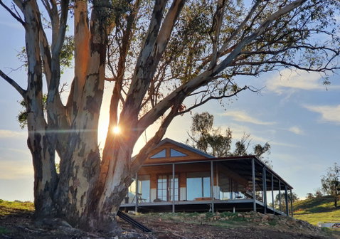 Kestrel Nest EcoHut - Coogee Beach Accommodation 0