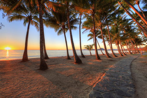 NRMA Palm Cove Holiday Park - Coogee Beach Accommodation 0