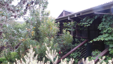 Rachels Retreat - Coogee Beach Accommodation 0