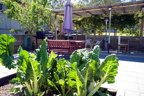 The Jabiru Motel - Coogee Beach Accommodation 2