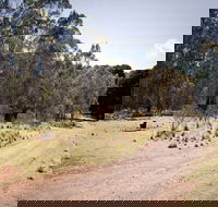 The Pines campground - Coogee Beach Accommodation