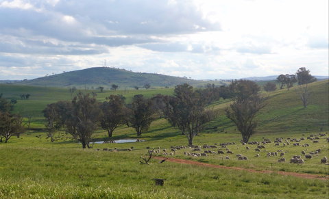 Wantana Cottage Farm Stay - Coogee Beach Accommodation 0