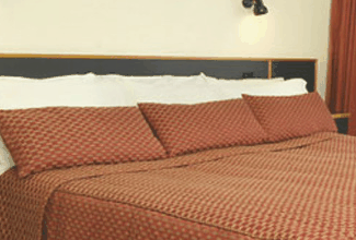 Margarets Forest Holiday Apartments - Coogee Beach Accommodation