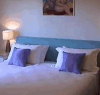Cottesloe Garden Apartments - Coogee Beach Accommodation