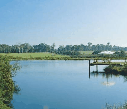 Forest Rise Eco Retreat - Coogee Beach Accommodation
