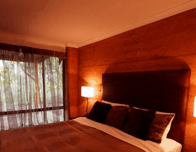 Forest Rise Eco Retreat - Coogee Beach Accommodation 1