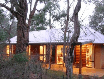Forest Rise Eco Retreat - Coogee Beach Accommodation 2