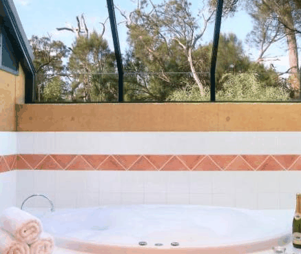 Forest Rise Eco Retreat - Coogee Beach Accommodation 3