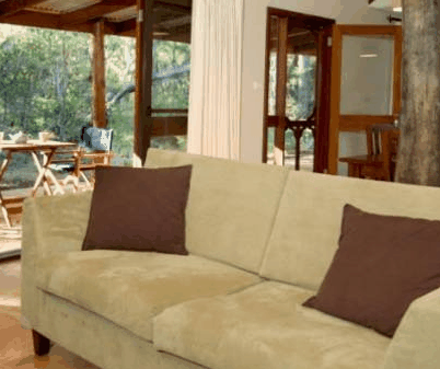 Forest Rise Eco Retreat - Coogee Beach Accommodation 4