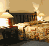 Comfort Inn Treetop Walk - Coogee Beach Accommodation