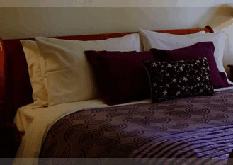 Erravilla Country Estate - Coogee Beach Accommodation 1