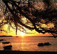 Pelican's Nest - Coogee Beach Accommodation