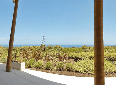 Redgate Beach Escape - Coogee Beach Accommodation 3