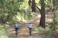 Craigmhor Mountain Retreat - Coogee Beach Accommodation 2