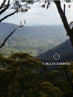 Craigmhor Mountain Retreat - Coogee Beach Accommodation 3